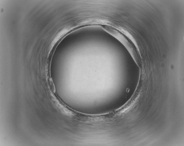 X0000059090997200510172050