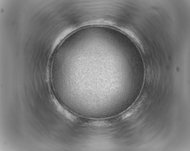 X0000059090998200510172050