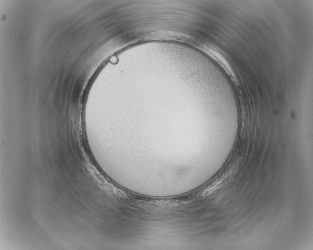 X0000059091000200510172050