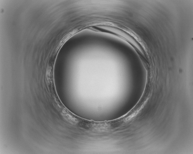 X0000059091001200510172050