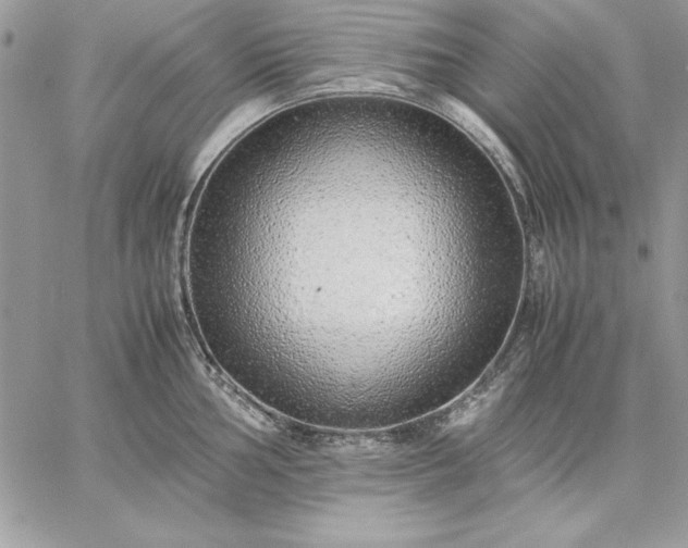 X0000059091002200510172050