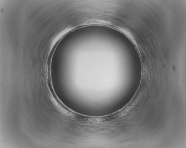 X0000059091003200510172050