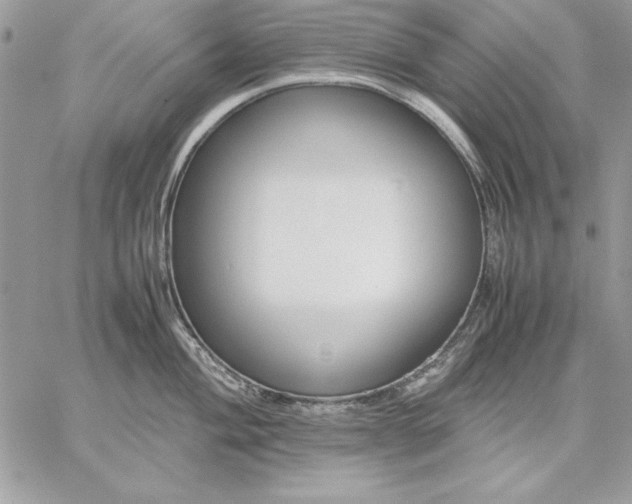 X0000059091004200510172050