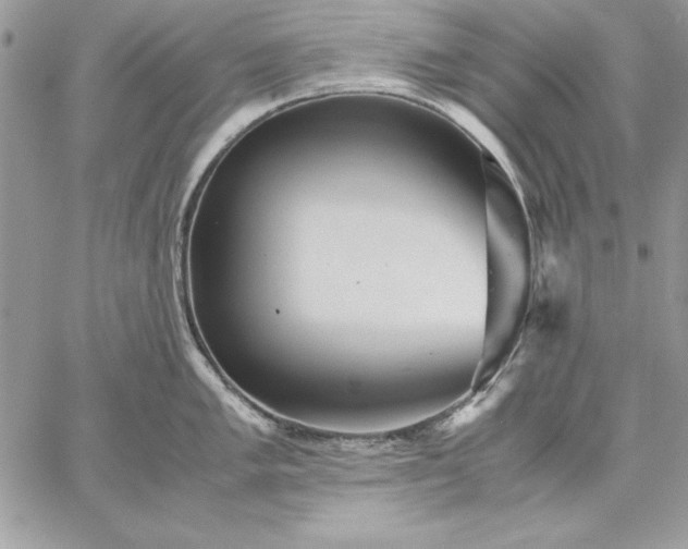 X0000059091005200510172050