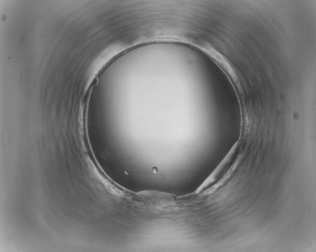 X0000059091006200510172050