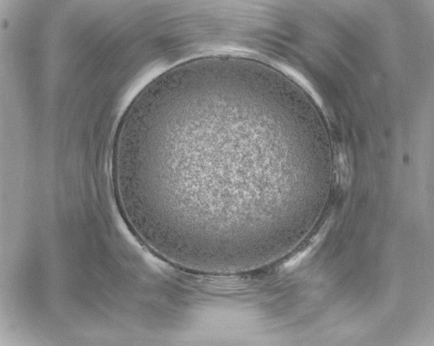 X0000059091007200510172050