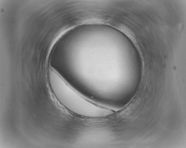 X0000059091008200510172050