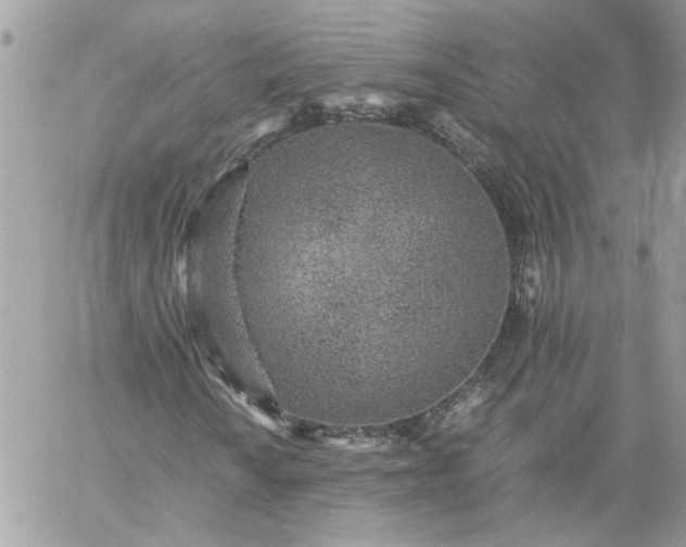 X0000059091010200510172049