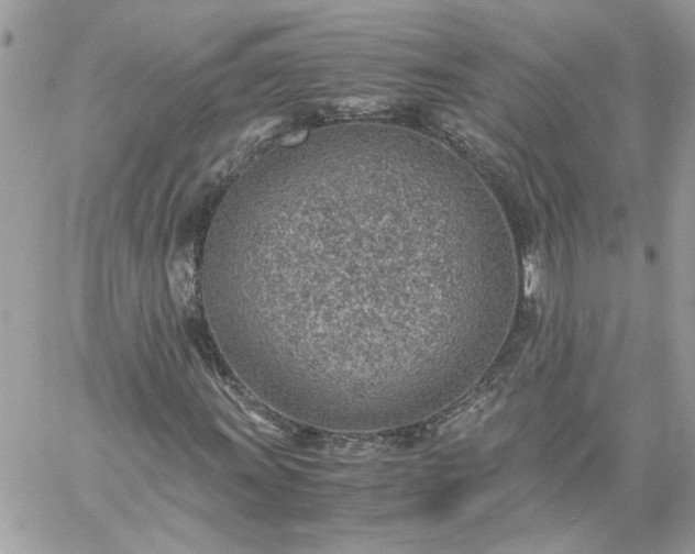 X0000059091011200510172049