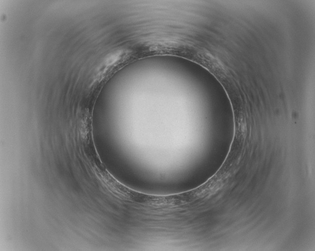 X0000059091012200510172049