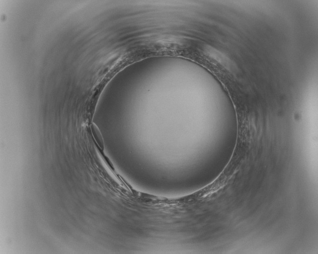 X0000059091013200510172049