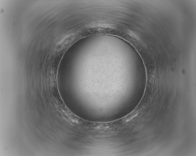 X0000059091014200510172049