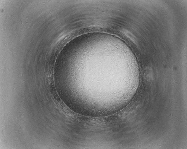 X0000059091015200510172049