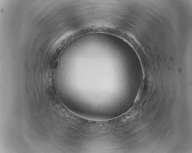 X0000059091016200510172049