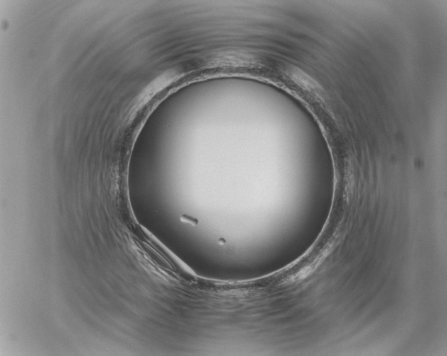 X0000059091017200510172049