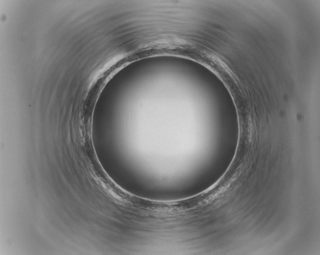 X0000059091018200510172049