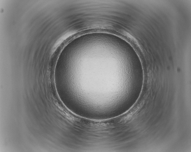 X0000059091019200510172049