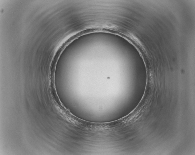 X0000059091020200510172049