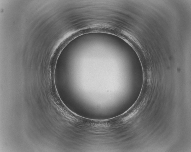 X0000059091021200510172049