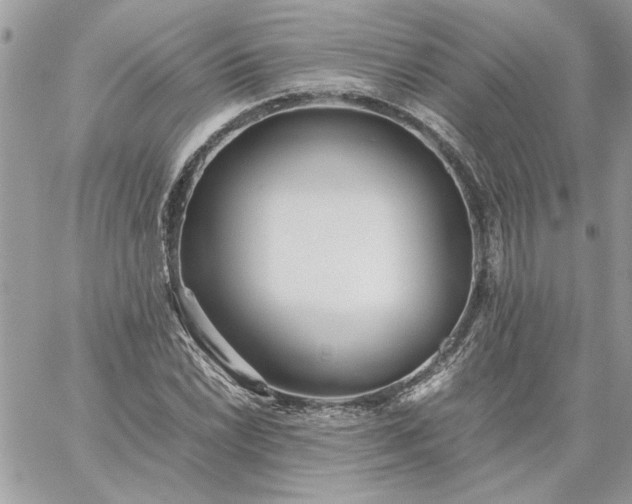 X0000059091022200510172049