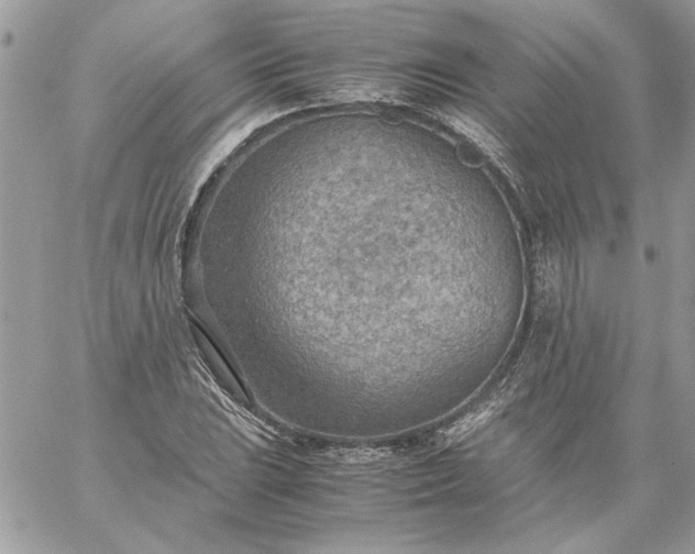 X0000059091023200510172049