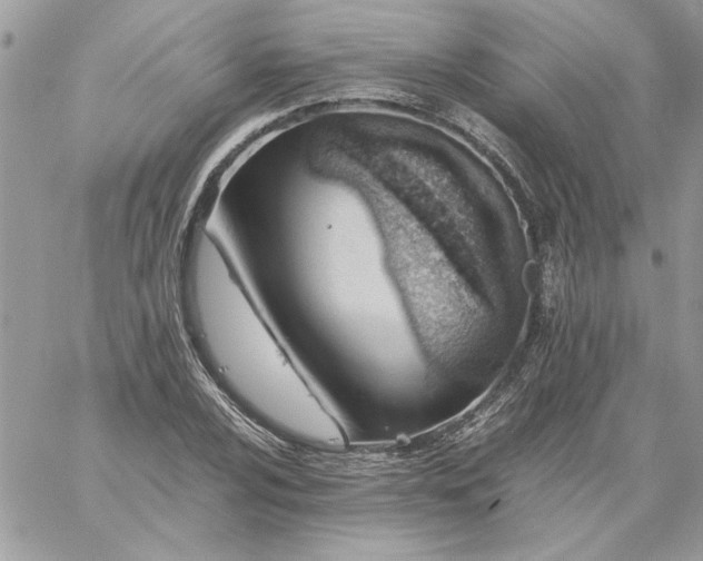 X0000059091024200510172049