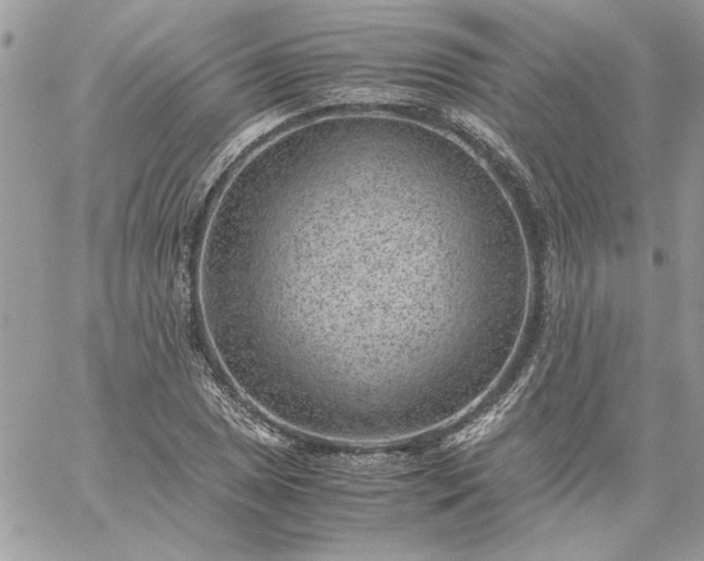 X0000059091025200510172049