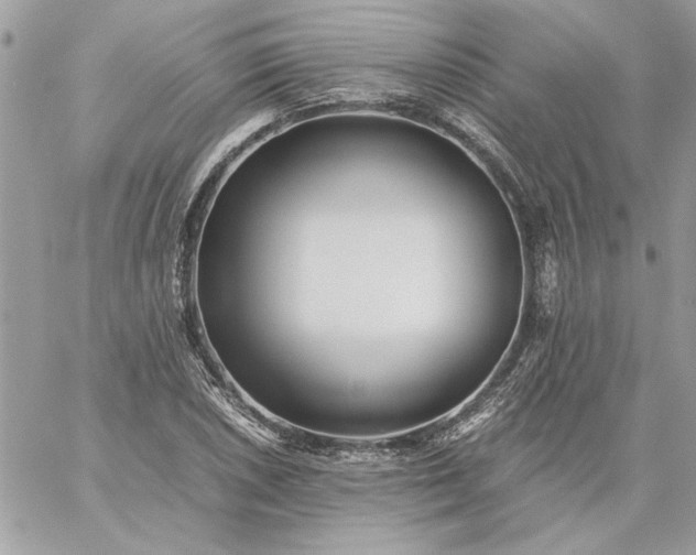 X0000059091026200510172049