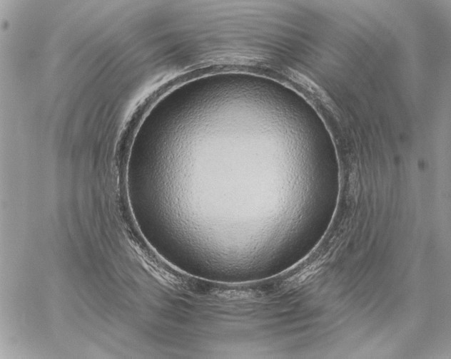 X0000059091027200510172049