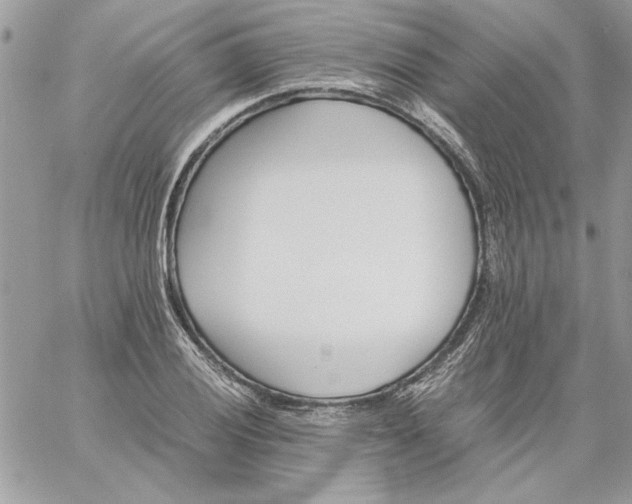 X0000059091028200510172049