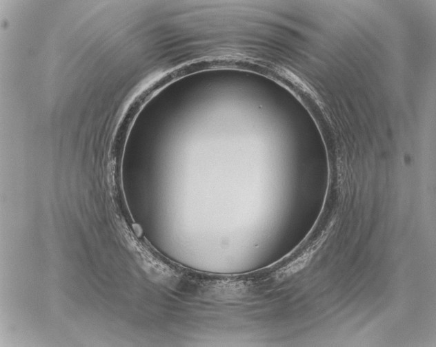 X0000059091029200510172049