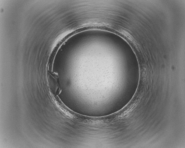 X0000059091030200510172049