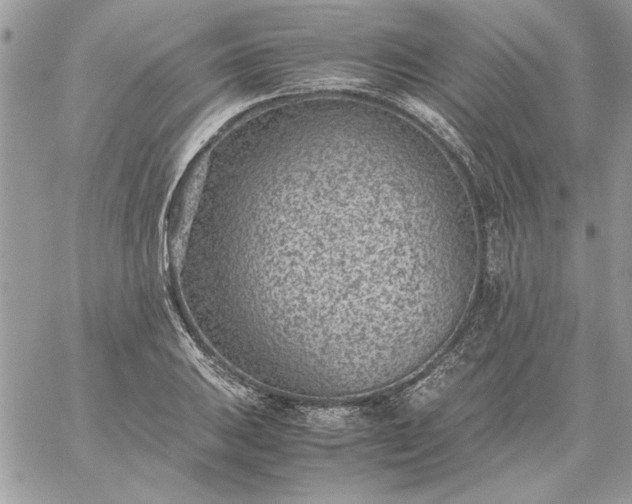 X0000059091031200510172049