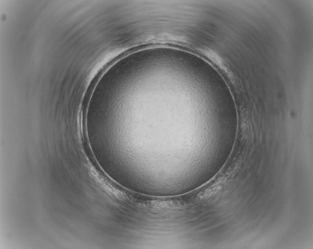 X0000059091032200510172049