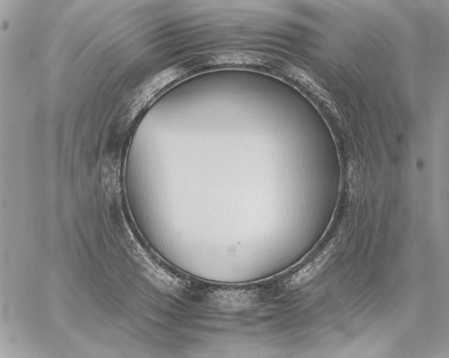 X0000059091033200510172049