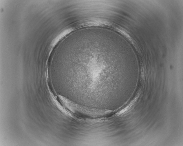 X0000059091034200510172049