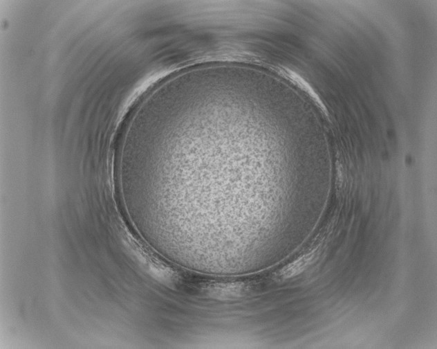 X0000059091035200510172049