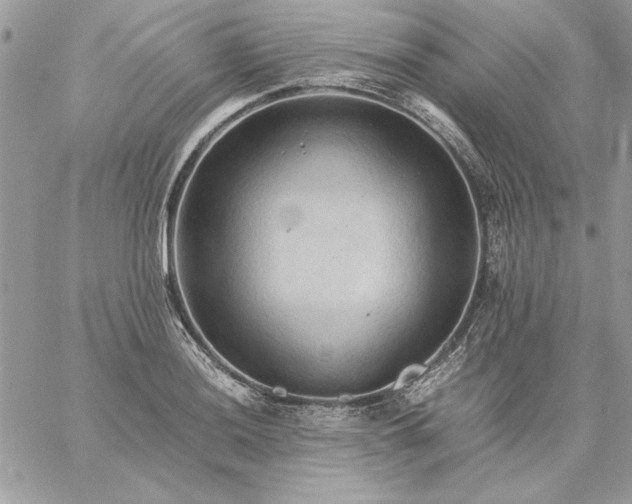 X0000059091036200510172049