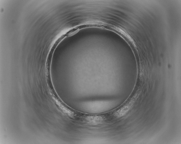 X0000059091037200510172049