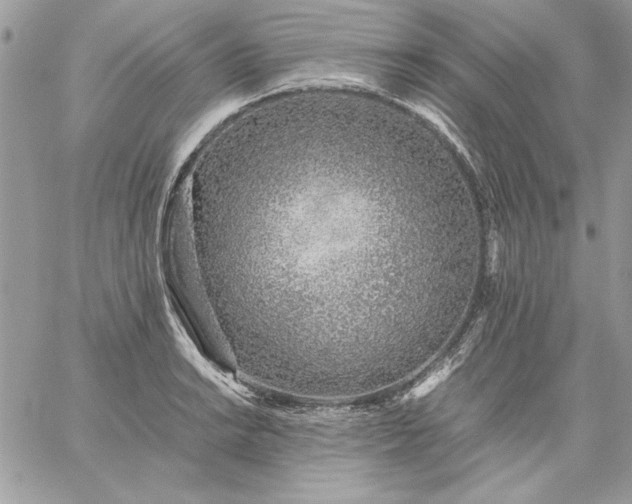 X0000059091038200510172049