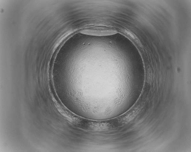 X0000059091039200510172049