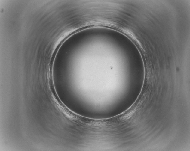 X0000059091040200510172050