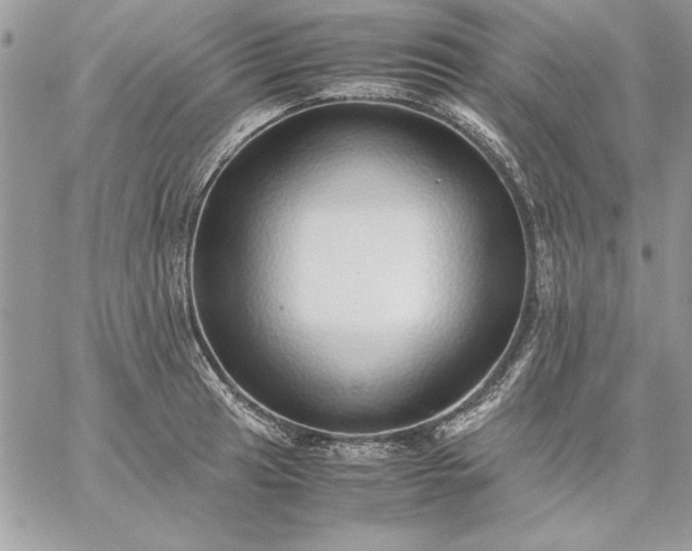 X0000059091041200510172050