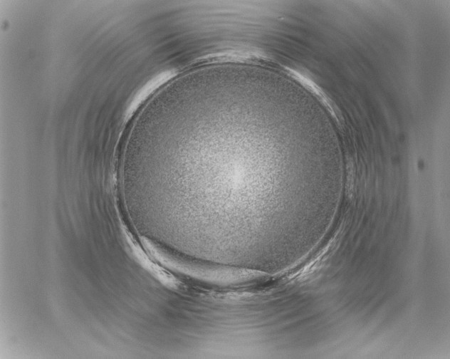 X0000059091042200510172050