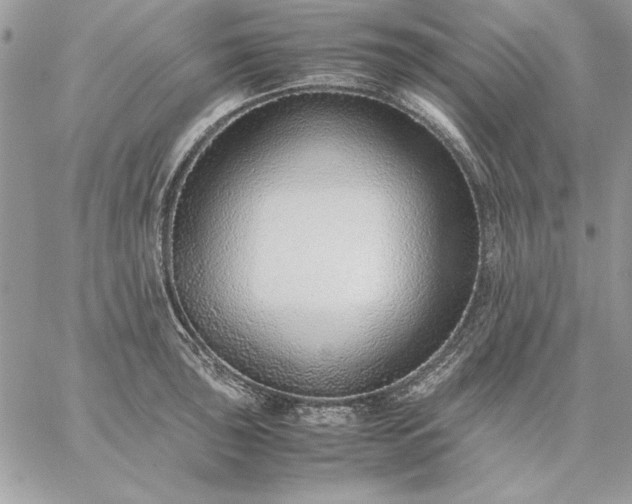 X0000059091043200510172050