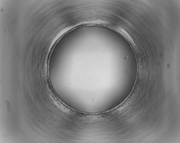 X0000059091044200510172050