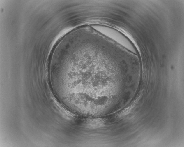 X0000059091045200510172050