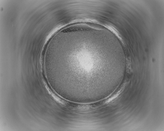 X0000059091046200510172050