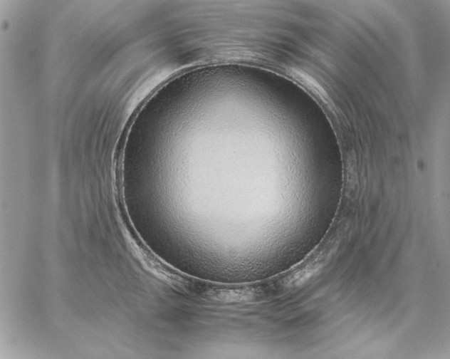 X0000059091047200510172050