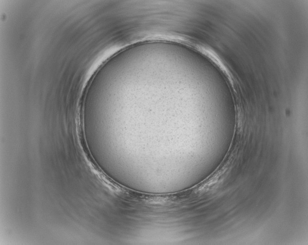 X0000059091048200510172050